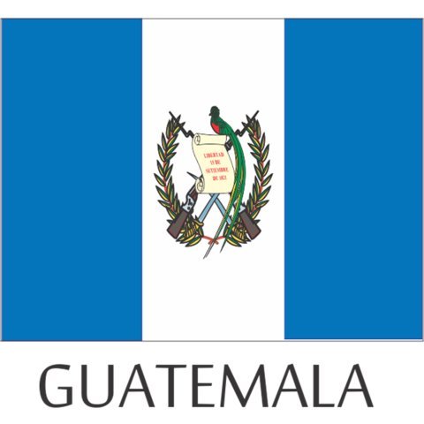 Guatemala Flag Hard Hat Helmet Decals Stickers - 12 Pieces