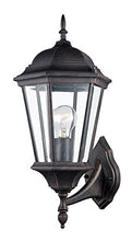 Load image into Gallery viewer, Trans Globe Imports 4250 RT Transitional One Light Wall Lantern from San Rafael Collection in Bronze / Dark Finish, 11.00 inches
