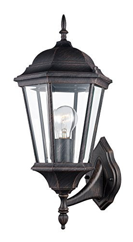 Trans Globe Imports 4250 RT Transitional One Light Wall Lantern from San Rafael Collection in Bronze / Dark Finish, 11.00 inches
