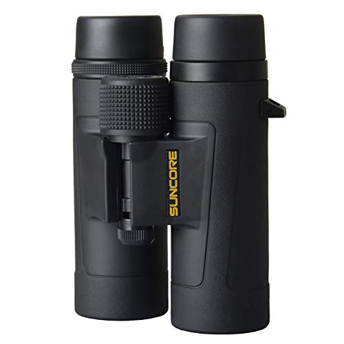 Binoculars 8-16 Times High-Definition Bird Watching Telescope Waterproof Anti-Fog Black Suitable for Hiking Tourism Camping Watching Concert (Size : C1042)
