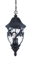 Acclaim 39226BC Capri Collection 3-Light Outdoor Light Fixture Hanging Lantern, Black Coral