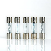 AGU Fuse Glass Fuse Silver Tips -5 pack (60 AMP)