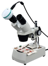 Load image into Gallery viewer, OMAX 20X-40X-80X Digital Binocular Stereo Microscope with Dual Lights System and 2.0MP USB Digital Camera
