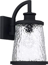 Load image into Gallery viewer, Capital Lighting 926511BK Tory Clear Organic Glass Outdoor Wall Sconce, 1-Light 100 Watt, 14&quot; H x 8&quot; W, Black

