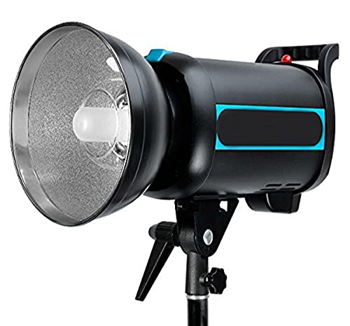 QS300 300 w/s Monolight