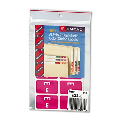 Alpha-Z Color-Coded Second Letter Labels, Letter A, Red, 100/Pack [Set of 2] Label/Color: Letter E, Purple