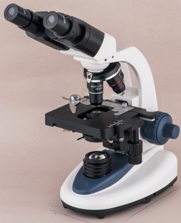 MABELSTAR XP702 Binocular Biological Microscope