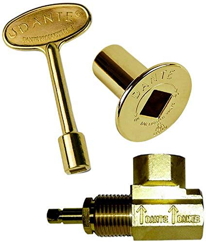 Dante Products Combo Pack with Angled 1/2-inch Globe Valve, Polished Brass Floor Plate and 3-inch Key