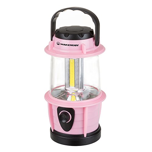 Blazin Fireball, Brightest Dimmable LED Lantern Rechargeable USB, 1000  Lumen Storm, Hurricane, Emergency Light, Power Outage