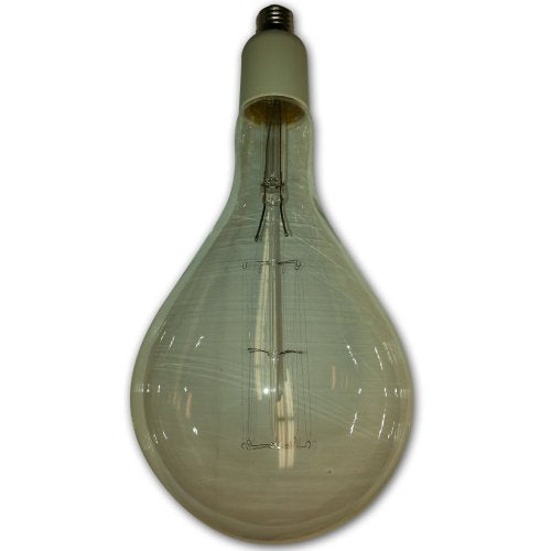 String Light Company P16001 Vintage Antique Light Bulb with E26 Base, 40-Watt