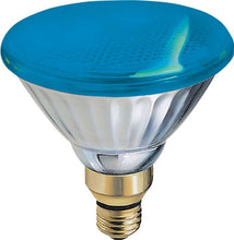 Load image into Gallery viewer, GE 13465 100-Watt Outdoor PAR38 Incandescent Light Bulb, Blue
