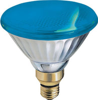 GE 13465 100-Watt Outdoor PAR38 Incandescent Light Bulb, Blue