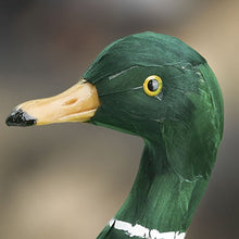 Load image into Gallery viewer, Factory Direct Craft Feathered Artificial Mallard Duck for Indoor Decor
