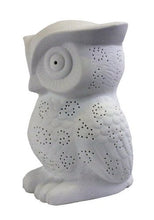 Load image into Gallery viewer, All The Rages Lt3027 Wht Simple Designs Porcelain Owl Shaped Table Lamp
