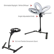 Load image into Gallery viewer, LimoStudio 8-Inch Dimmable Brightness Mini LED Ring Light (25W / 5500KM) with Table top Flexible Gooseneck Stand for Portraits, Beauty, Make Up Shots, Studio Video Photography, PROMOAGG2816
