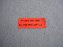 Load image into Gallery viewer, Label, &#39;Frozen Specimen/Immediate Delivery(1&#39;&#39;x2.25&#39;&#39;) (500/Rl)
