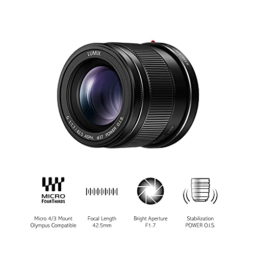 Panasonic H-HS043E-K Lumix G Lens - Black (42.5 mm Focal Length