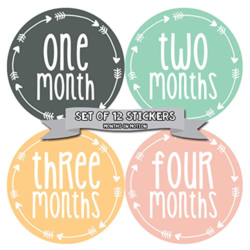 Months In Motion Monthly Baby Milestone Stickers for Girl - Onesie Month Sticker - Infant Photo Prop for First Year - Shower Gift - Newborn Keepsakes - Arrows (Style 1025)