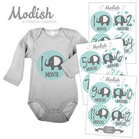 Modish - Creative Collective Baby Stickers, Elephants, Baby Boy, Elephant Baby Belly Stickers, Elephant Baby Month Stickers, First Year Stickers Months 1-12, Teal, Mint, Elephants, Boy, Grey