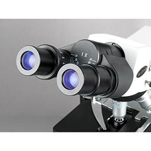 Load image into Gallery viewer, AmScope B690B Siedentopf Binocular Compound Microscope, 40X-2000X Magnification, WH10x and WH20x Super-Widefield Eyepieces, Infinity Objectives, Brightfield, Kohler Condenser, Double-Layer Mechanical
