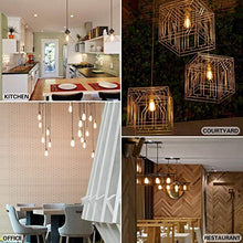 Load image into Gallery viewer, DecorStar 6-Pack Edison Bulb, Edison Light Bulbs, Antique Vintage Squirrel Cage Filament Bulb, 60W, 2200K Amber Warm, 230 Lumens, 110V, E26, ST58 Dimmable Lamp for Home Light Fixtures and Decorative
