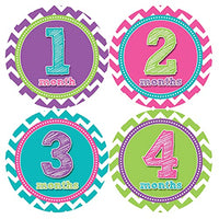 Baby Monthly Milestone Stickers - Baby Month Stickers for Girl - Baby Monthly Stickers for First Year - Style 284