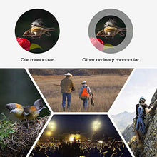 Load image into Gallery viewer, 40X60 Monocular Telescope HD BAK4 Prism Scope with Tripod Phone Holder for Bird Watching, Outdoor, Camping, Hiking
