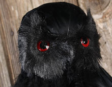 Load image into Gallery viewer, Factory Direct Craft Standing Black Feathered Artificial Owl with Attached Wire on Feet
