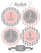Load image into Gallery viewer, Modish Labels 12 Monthly Baby Stickers, Baby Girl, Pink, Gray, Grey, Arrows, Tribal, Baby Book Keepsake, Baby Shower Gift, Photo Prop
