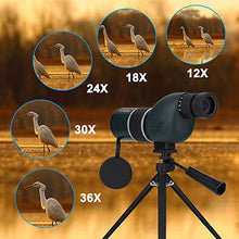 Load image into Gallery viewer, Acouto 50mm 12-36X Zoom Monocular Telescope,High Powered Monoculars Scope Mini Tripod and Storage Bag for Bird Watching, Hunting,Wildlife(Straight)
