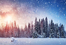 Load image into Gallery viewer, Laeacco Dreamlike Snowy Forest Backdrop 10x8ft Vinyl Twilight Frosty Pine Trees Undefiled Snowfield Flying Snowflakes Photography Background Winter Snowscape Backdrop Kids Baby Shoot Indoor Decors
