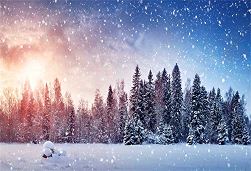Laeacco Dreamlike Snowy Forest Backdrop 10x8ft Vinyl Twilight Frosty Pine Trees Undefiled Snowfield Flying Snowflakes Photography Background Winter Snowscape Backdrop Kids Baby Shoot Indoor Decors