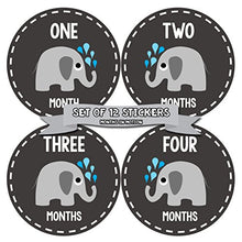 Load image into Gallery viewer, Months In Motion Gender Neutral Baby Month Stickers - Monthly Milestone Sticker for Boy or Girl - Infant Photo Prop for First Year - Shower Gift - Newborn Keepsakes - Unisex- Chalkboard- Elephants
