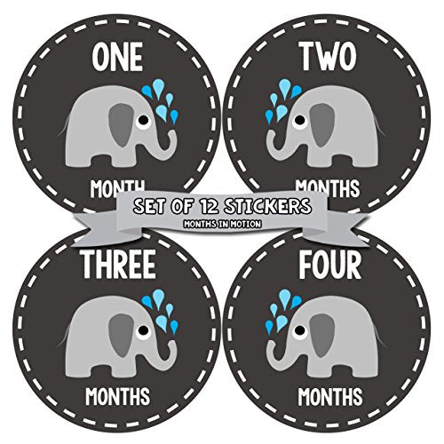 Months In Motion Gender Neutral Baby Month Stickers - Monthly Milestone Sticker for Boy or Girl - Infant Photo Prop for First Year - Shower Gift - Newborn Keepsakes - Unisex- Chalkboard- Elephants