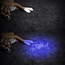 Load image into Gallery viewer, Morpilot 2 Pcs Uv Handheld Flashlight 12 Led 395nm Ultraviolet Blacklight Pet Dog Cat Stain Urine De
