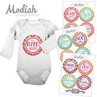Modish Labels, Monthly Baby Stickers, Baby Milestone Stickers, Photo Prop, Baby Girl, Glitter, Silver, Pink, Purple, Mint, Teal, Baby Shower, Nursery, Baby Book Keepsake