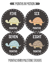 Load image into Gallery viewer, Months In Motion Gender Neutral Baby Month Stickers - Monthly Milestone Sticker for Boy or Girl - Onesie Month Sticker - Shower Gift - Newborn Keepsakes - Unisex - Turtles
