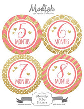 Load image into Gallery viewer, Modish Labels 12 Monthly Baby Stickers, Baby Girl, Pink Gold, Baby Shower Gift, Photo Prop, Baby Book Keepsake
