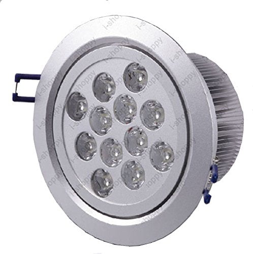 BRILLRAYDO 12W LED Ceiling Light Fixture Bulb Flush Mounting Cabinet Recessed