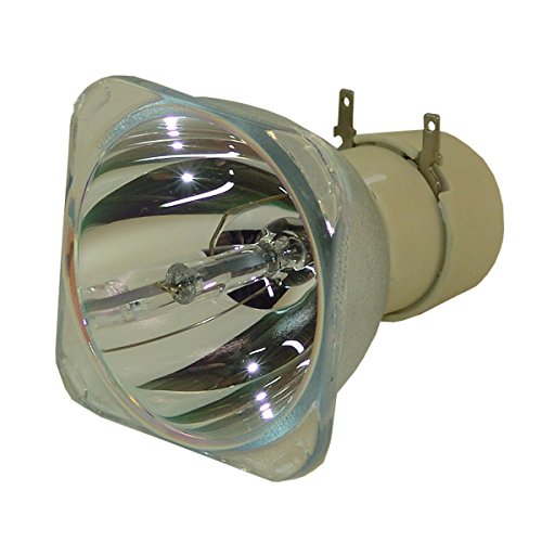 SpArc Platinum for NEC NP-V300W Projector Lamp (Original Philips Bulb)