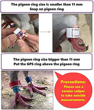 Load image into Gallery viewer, SKYLEADER 2 GPS Pigeon Tracker Ring 5 Port Package
