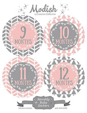 Load image into Gallery viewer, Modish Labels 12 Monthly Baby Stickers, Baby Girl, Pink, Gray, Grey, Arrows, Tribal, Baby Book Keepsake, Baby Shower Gift, Photo Prop
