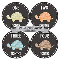 Months In Motion Gender Neutral Baby Month Stickers - Monthly Milestone Sticker for Boy or Girl - Onesie Month Sticker - Shower Gift - Newborn Keepsakes - Unisex - Turtles