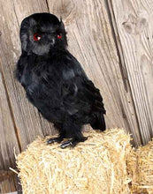 Load image into Gallery viewer, Factory Direct Craft Standing Black Feathered Artificial Owl with Attached Wire on Feet
