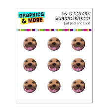 Load image into Gallery viewer, Graphics and More Fawn Pit Bull Face - Pitbull Dog Pet Home Button Stickers Fits Apple iPhone 4/4S/5/5C/5S, iPad, iPod Touch - Non-Retail Packaging - Clear
