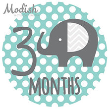 Load image into Gallery viewer, Modish - Creative Collective Baby Stickers, Elephants, Baby Boy, Elephant Baby Belly Stickers, Elephant Baby Month Stickers, First Year Stickers Months 1-12, Teal, Mint, Elephants, Boy, Grey
