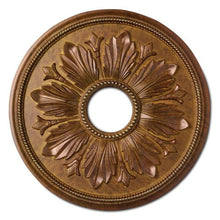 Load image into Gallery viewer, Focal Point 83431D 31-Inch Shell and Bellflower Medallion 31-Inch by 31-Inch by 1 1/2-Inch Focal Finish, D Regal Gold
