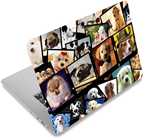 icolor Laptop Skin Sticker Decal,12