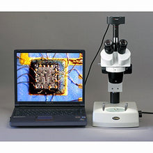 Load image into Gallery viewer, AmScope SW-2T13 Trinocular Stereo Microscope, WH10x Eyepieces, 10X and 30X Magnification, 1X/3X Objective, Upper and Lower Halogen Lighting, Pillar Stand, 110V-120V
