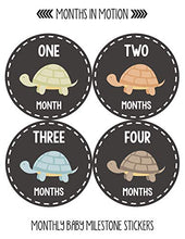 Load image into Gallery viewer, Months In Motion Gender Neutral Baby Month Stickers - Monthly Milestone Sticker for Boy or Girl - Onesie Month Sticker - Shower Gift - Newborn Keepsakes - Unisex - Turtles
